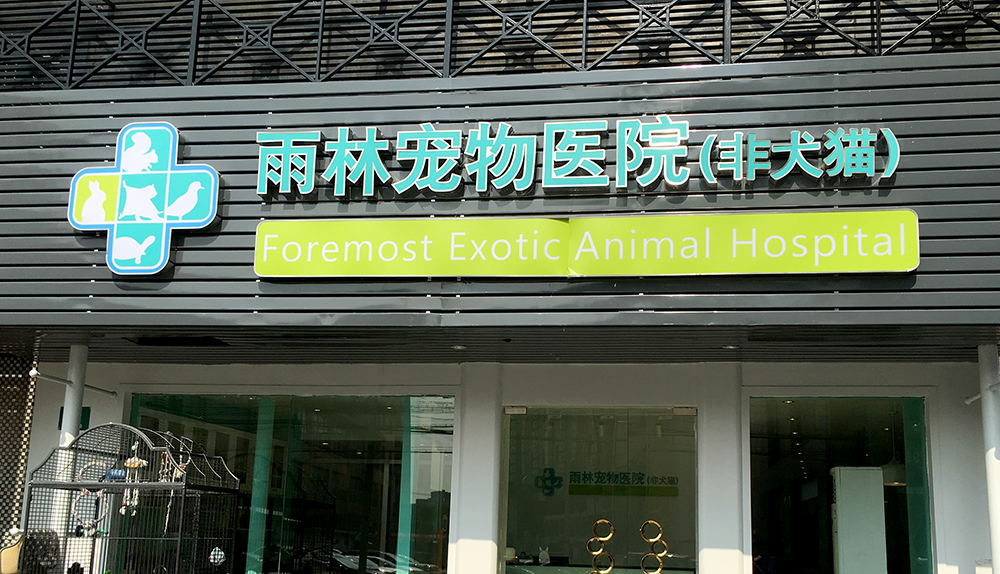上海雨林宠物医院