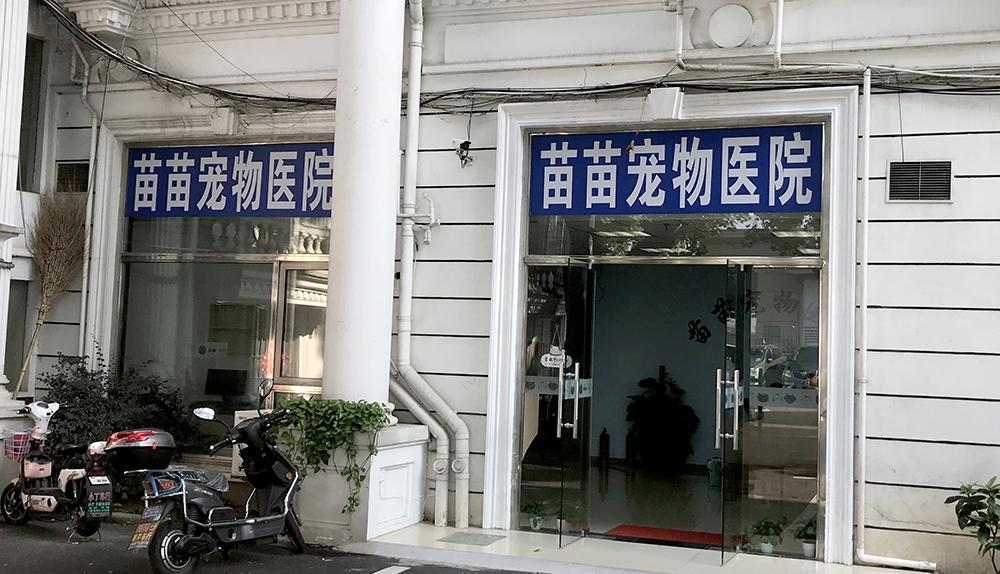上海苗苗宠物医院
