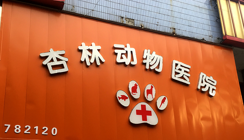 湖南常德杏林动物医院