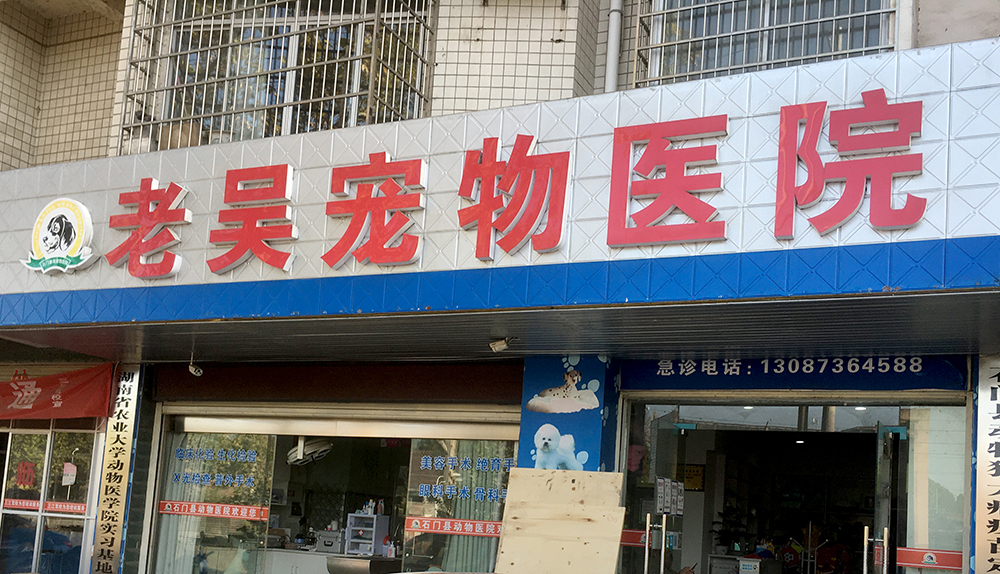 湖南常德老吴宠物医院
