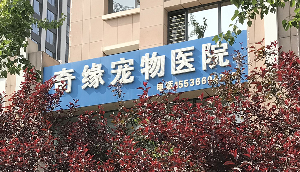 山西太原奇缘宠物医院