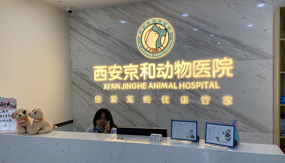陕西西安京宝动物医院
