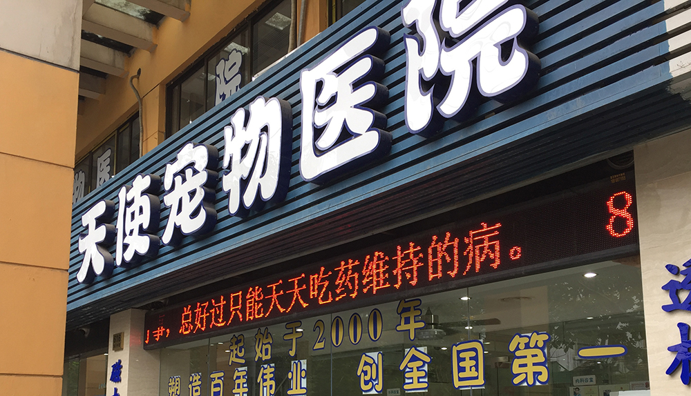 上海天使宠物医院