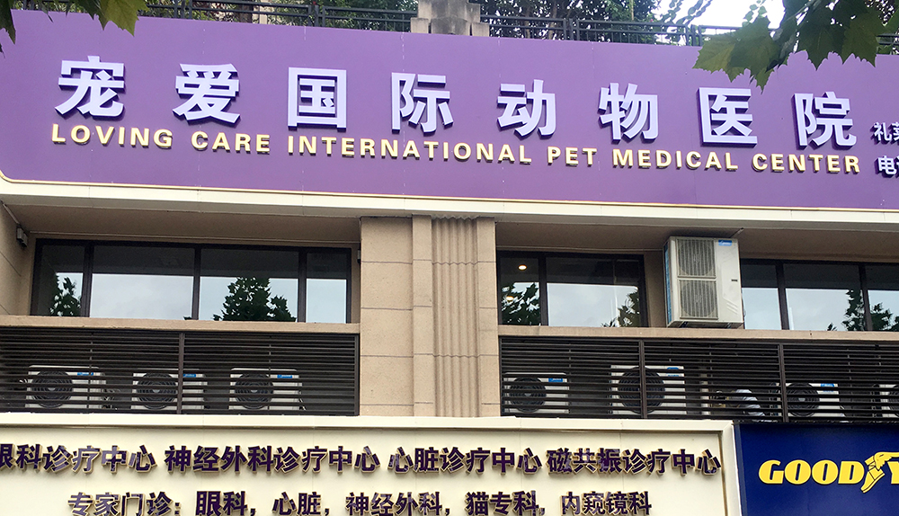 宠爱国际动物医院重庆江与成分院