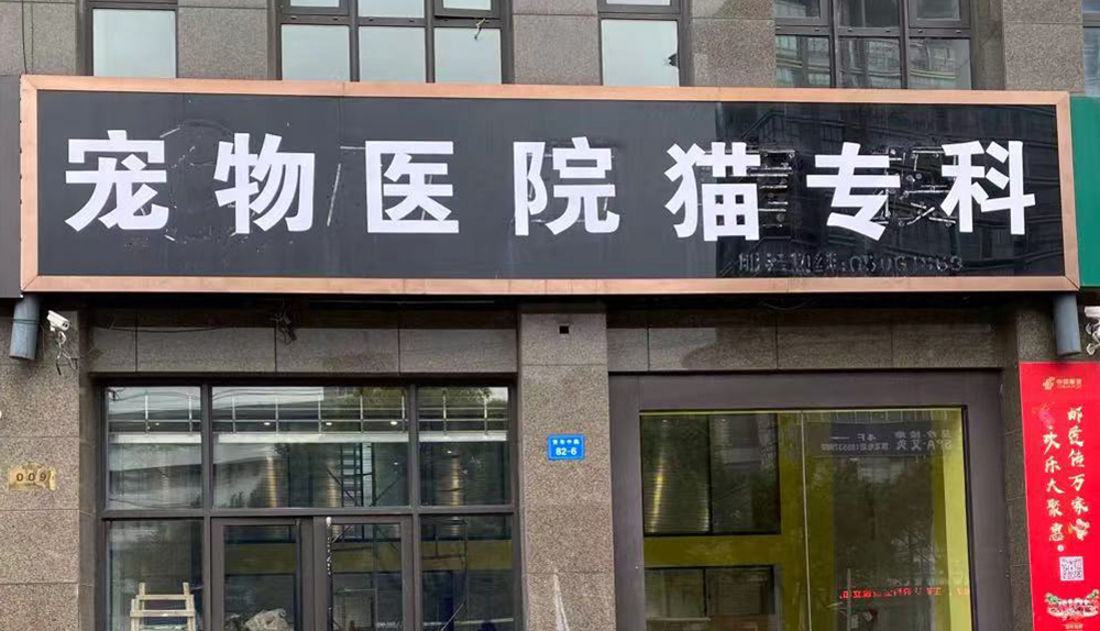 南通崇川区猫专科