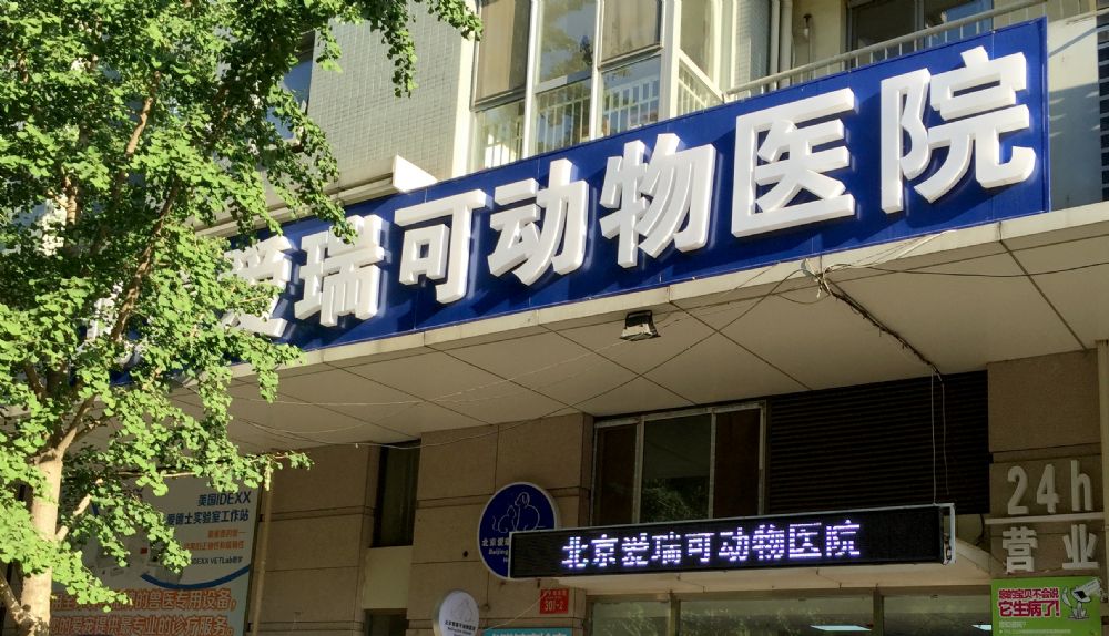 北京爱瑞可动物医院